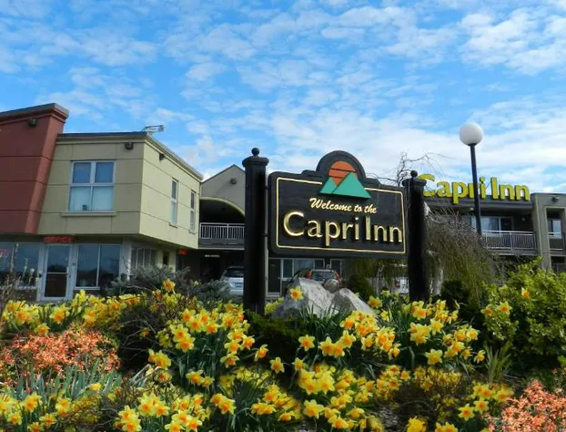 Capri Inn hotel detail image 3