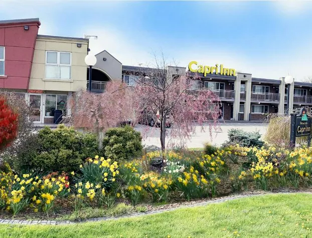 Capri Inn hotel detail image 4