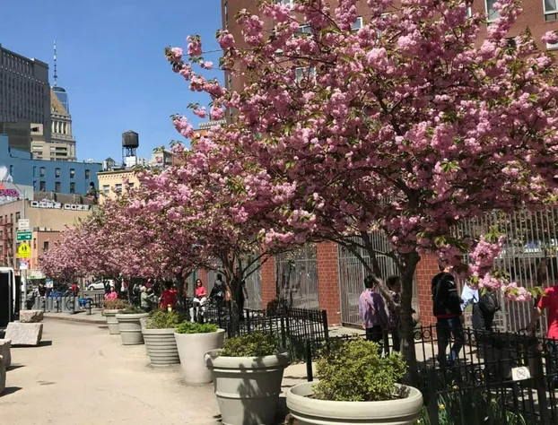 Hotel Mimosa hotel detail image 2