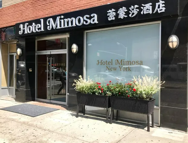 Hotel Mimosa hotel detail image 3