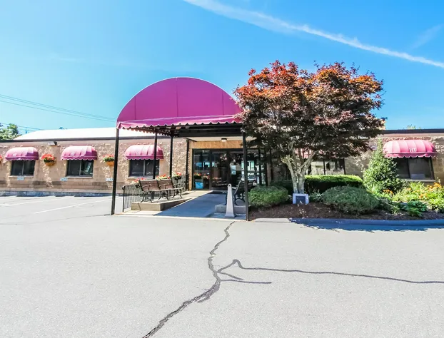 Holly Tree Resort hotel detail image 2