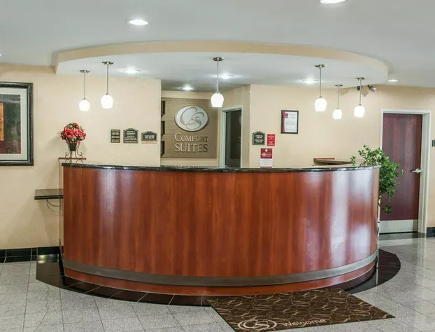 Comfort Suites near Indianapolis Airport hotel detail image 3