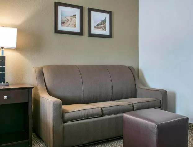 Comfort Inn & Suites Porter near Indiana Dunes hotel detail image 4