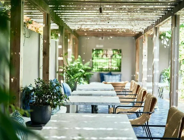 Hotel Saint Cecilia hotel detail image 4