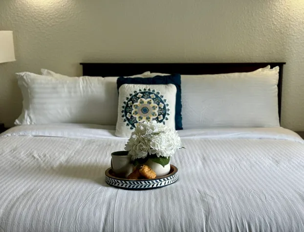 Athens Hotel Suites hotel detail image 3