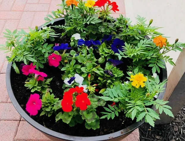 The Grenville Hotel and Restaurant hotel detail image 3