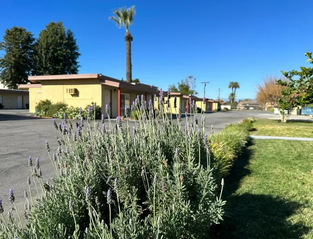 Royal Inn and Suites hotel detail image 4