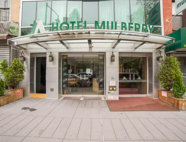 Hotel Mulberry hotel detail image 3