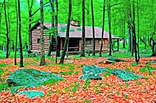 Cacapon State Park Lodge hotel detail image 3