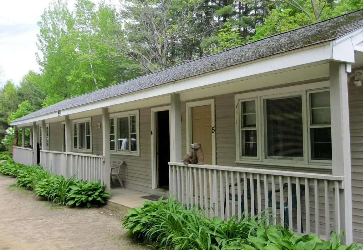 Bear Tree Lodge hotel hero