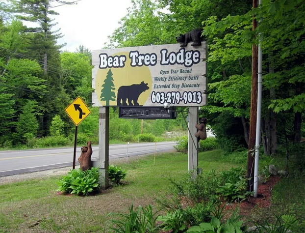 Bear Tree Lodge hotel detail image 4