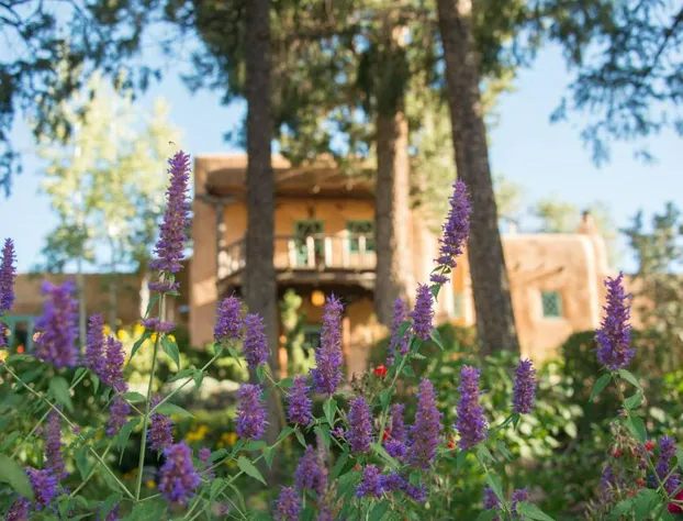 Inn Of The Turquoise Bear hotel detail image 2