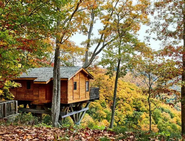 The Lodge at Primland, Auberge Collection hotel detail image 3