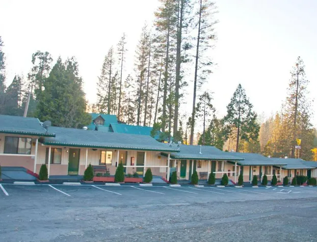 El Dorado Motel hotel detail image 1