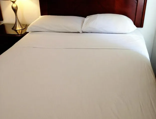 Hotel Bon Accueil hotel detail image 3