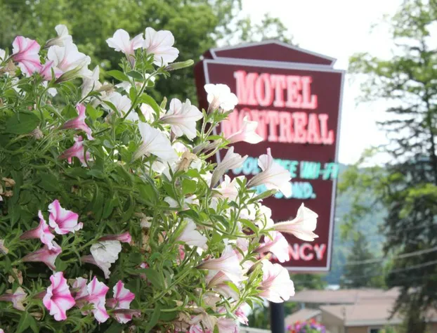 The Motel Montreal hotel detail image 2