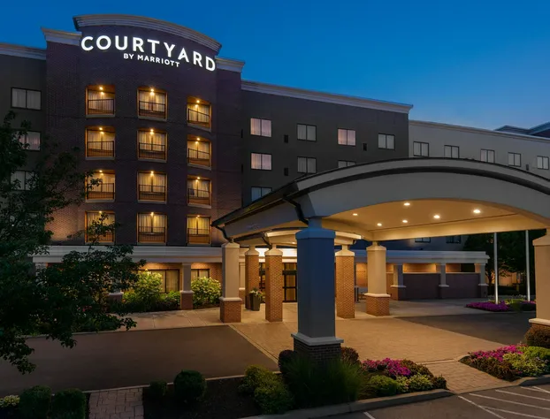 Courtyard Buffalo Airport hotel detail image 1