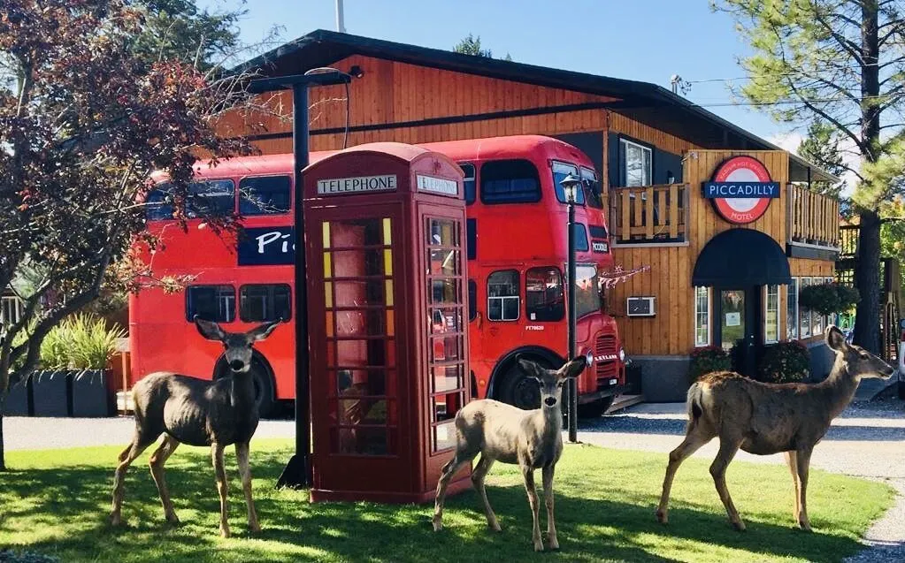 The Piccadilly Motel hotel hero