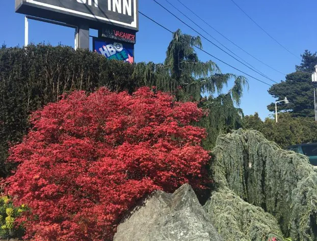 Acorn Motor Inn hotel detail image 1