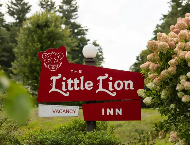 The Little Lion hotel detail image 2
