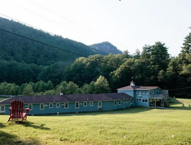 The Little Lion hotel detail image 1