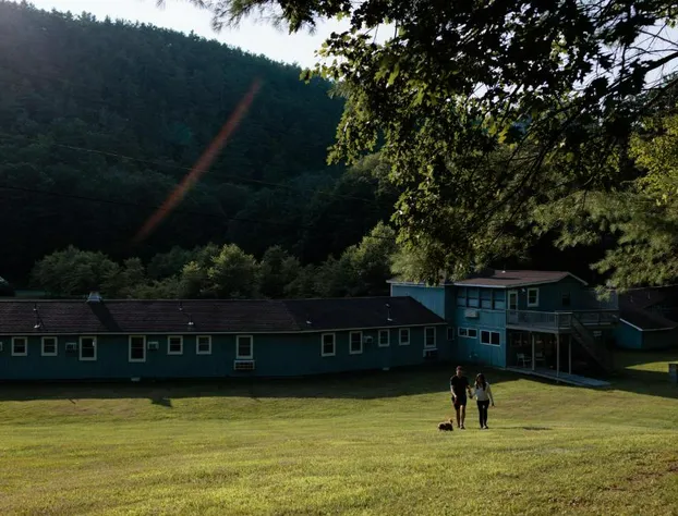 The Little Lion hotel detail image 3