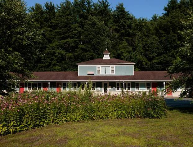 The Little Lion hotel detail image 4