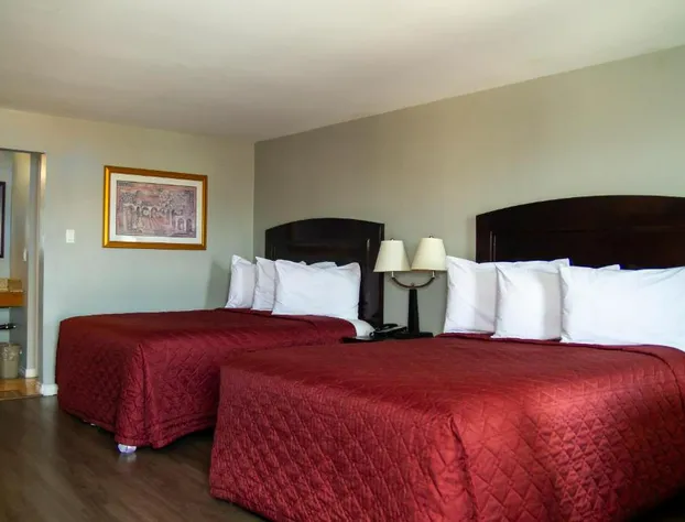 Saxony Motel hotel detail image 2