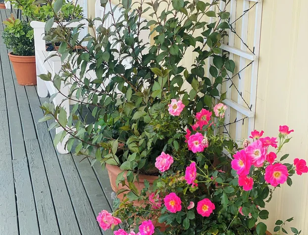 Banbridge Inn hotel detail image 1