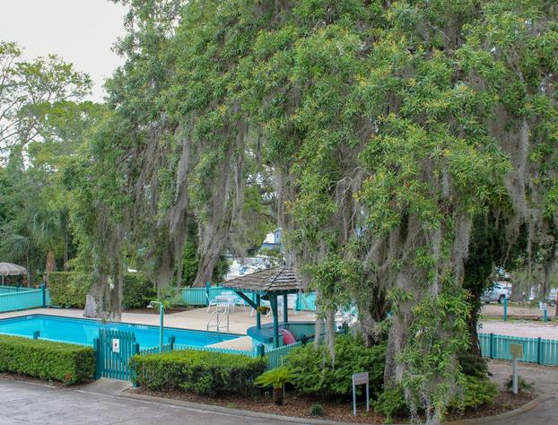 Steinhatchee River Inn hotel detail image 3