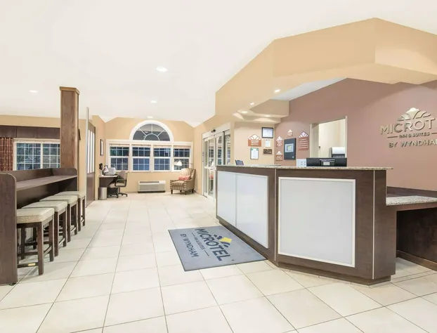 Microtel Inn & Suites by Wyndham Sidney hotel detail image 2