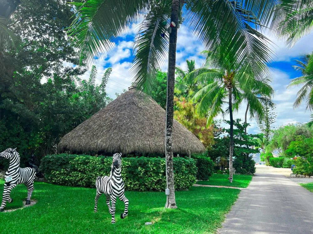 Sunset Cove Beach Resort hotel hero