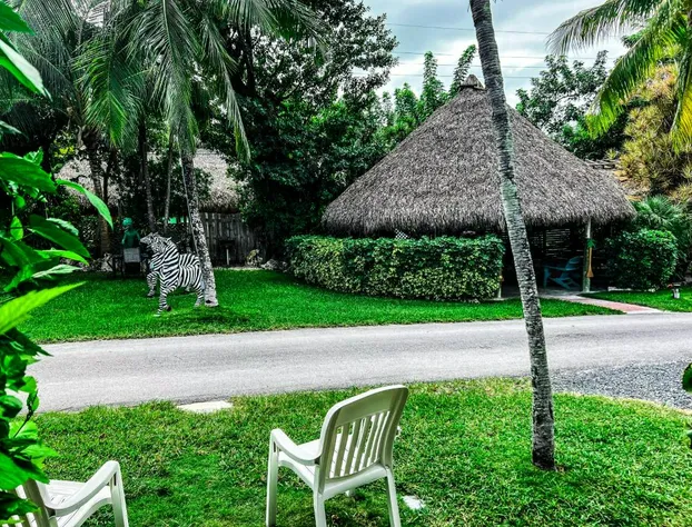 Sunset Cove Beach Resort hotel detail image 3