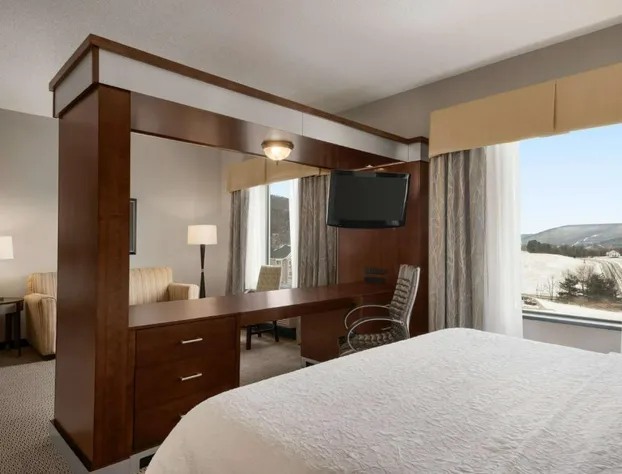 Hampton Inn & Suites Mansfield hotel detail image 4