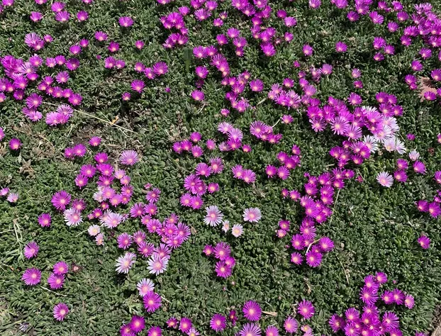 Country Manor Motel Watkins hotel detail image 2