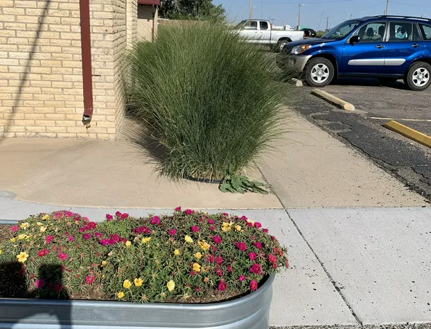 Country Manor Motel Watkins hotel detail image 3