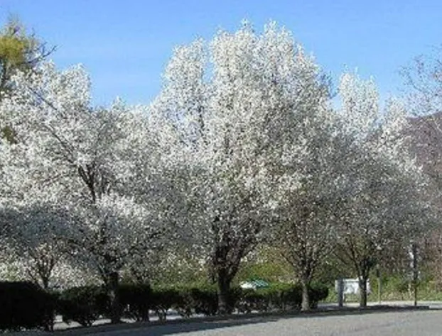 MacArthur Inn hotel detail image 3