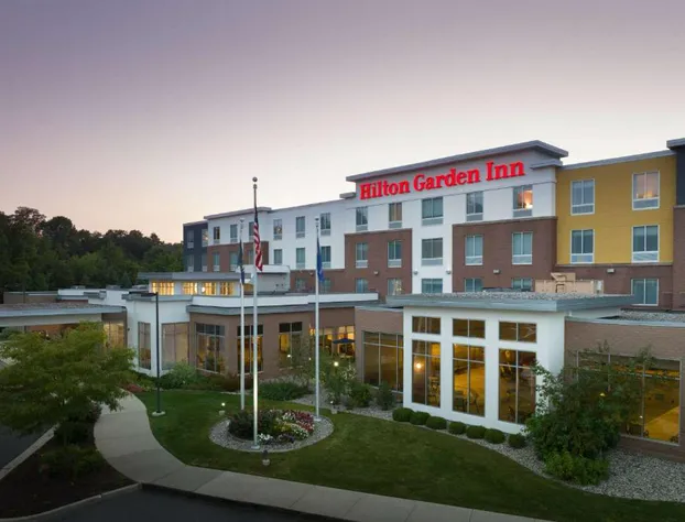 Hilton Garden Inn Ann Arbor hotel detail image 1