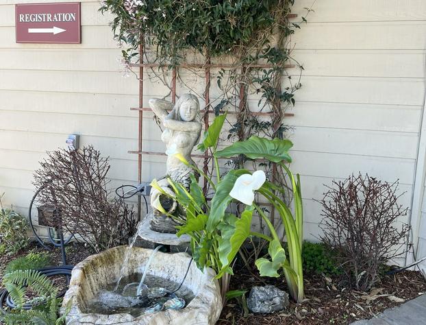 North Cliff Hotel hotel detail image 1