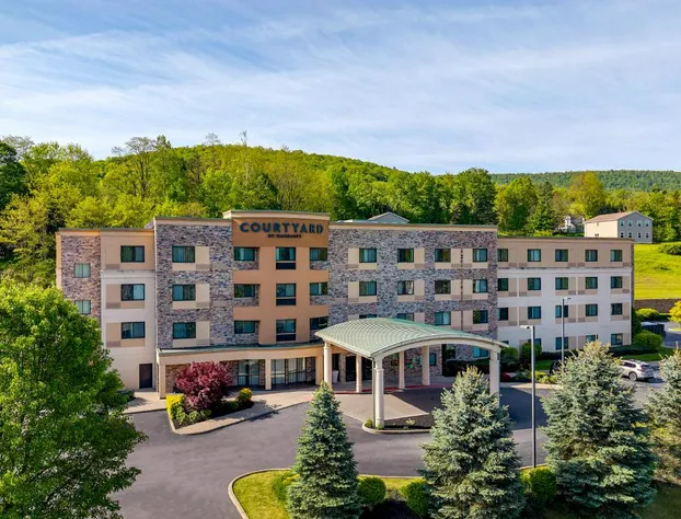 Courtyard Oneonta hotel detail image 3