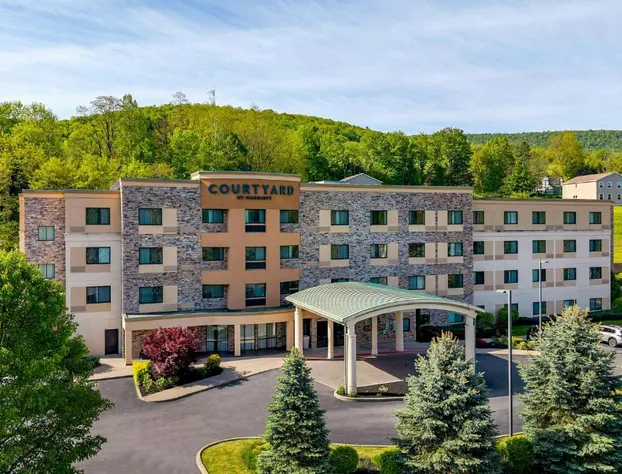 Courtyard Oneonta hotel detail image 1