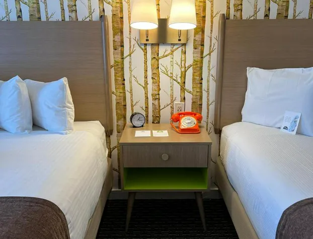 Bar Harbor Motel hotel detail image 4