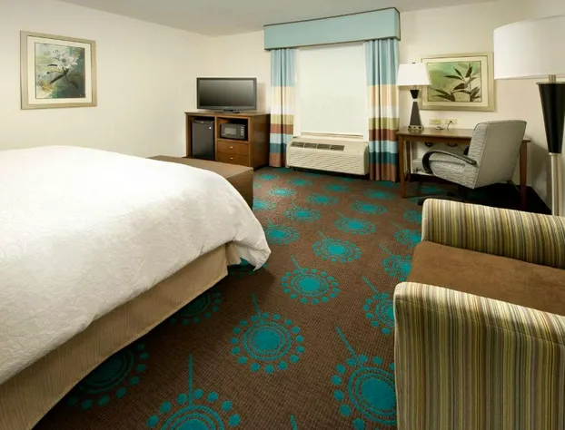Hampton Inn Uvalde hotel detail image 4