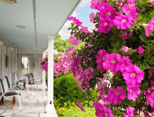 The Palmer House Resort, an Ascend Collection Hotel hotel detail image 4