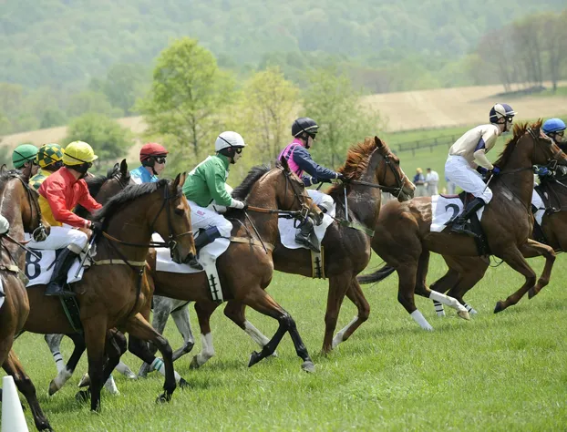 Salamander Resort And Spa hotel detail image 3