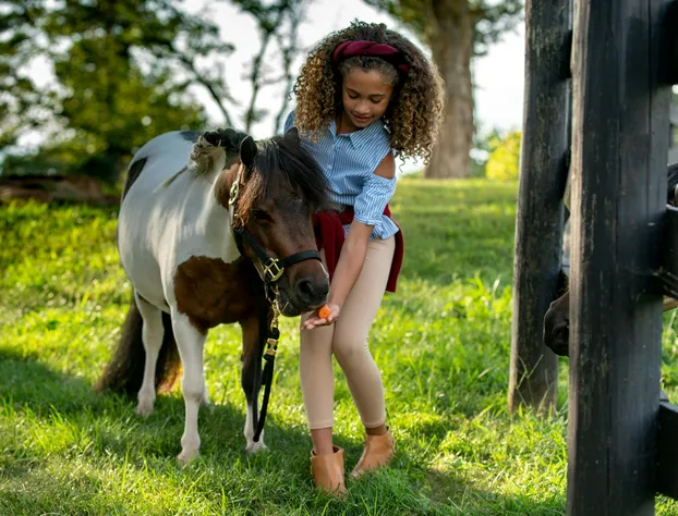 Salamander Resort And Spa hotel detail image 4
