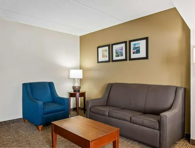 Comfort Inn & Suites hotel detail image 1