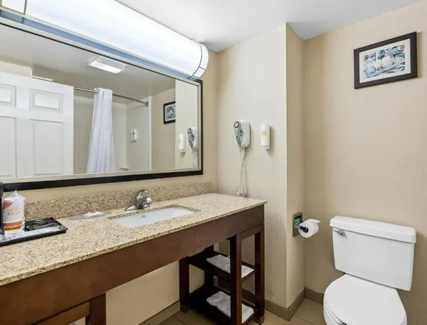 Comfort Inn & Suites hotel detail image 3