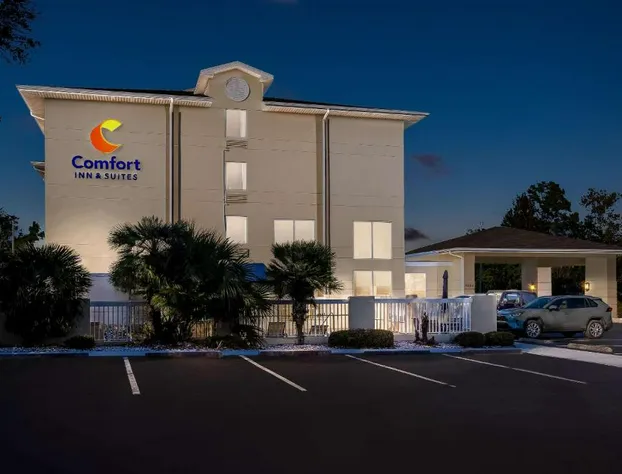 Comfort Inn & Suites hotel detail image 2