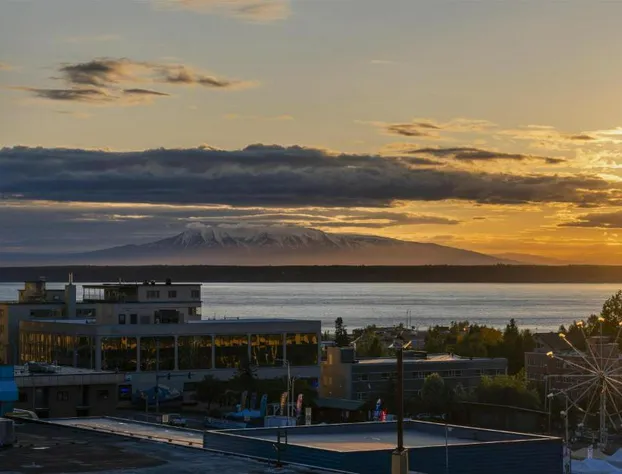 The Wildbirch Hotel in JdV by Hyatt hotel detail image 1